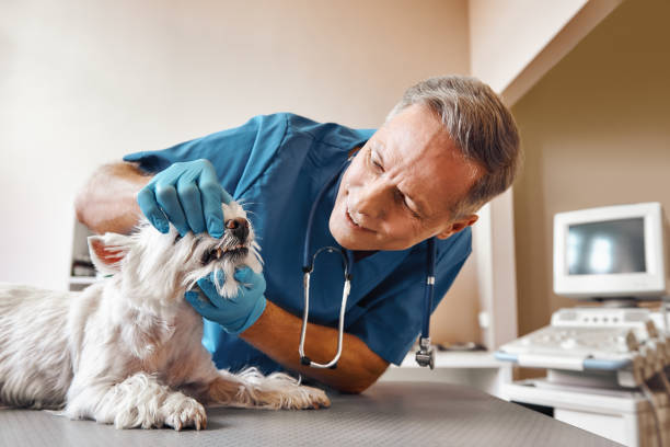 Best Emergency Tooth Extraction in New Market, AL